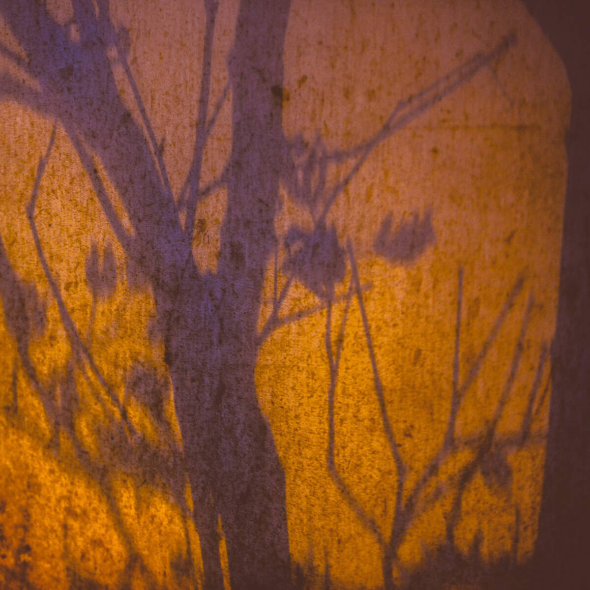 Autumnal Farewells 留秋