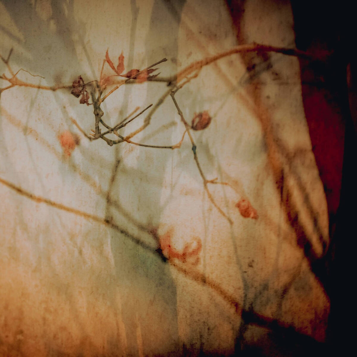 Autumnal Farewells 留秋