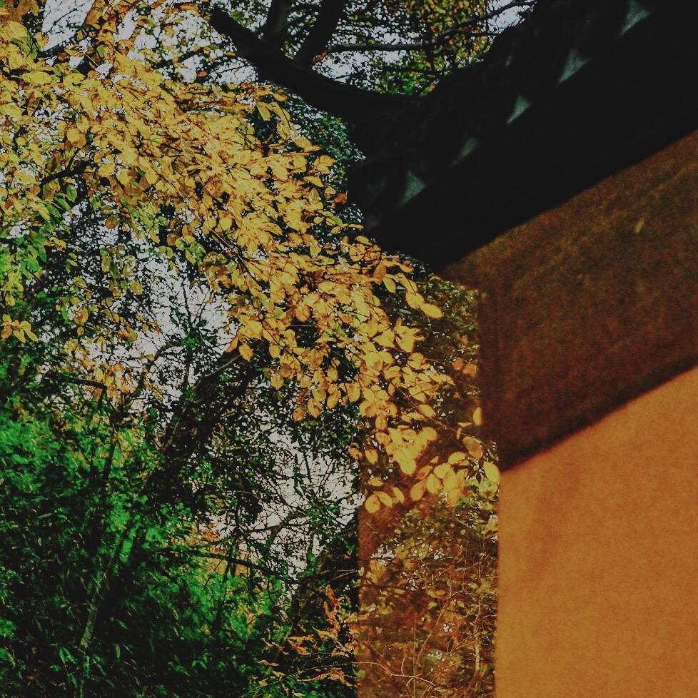 Autumnal Farewells 留秋