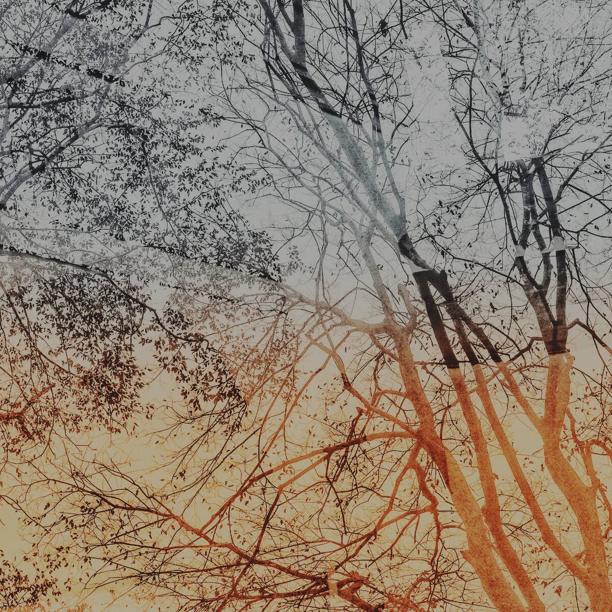 Autumnal Farewells 留秋