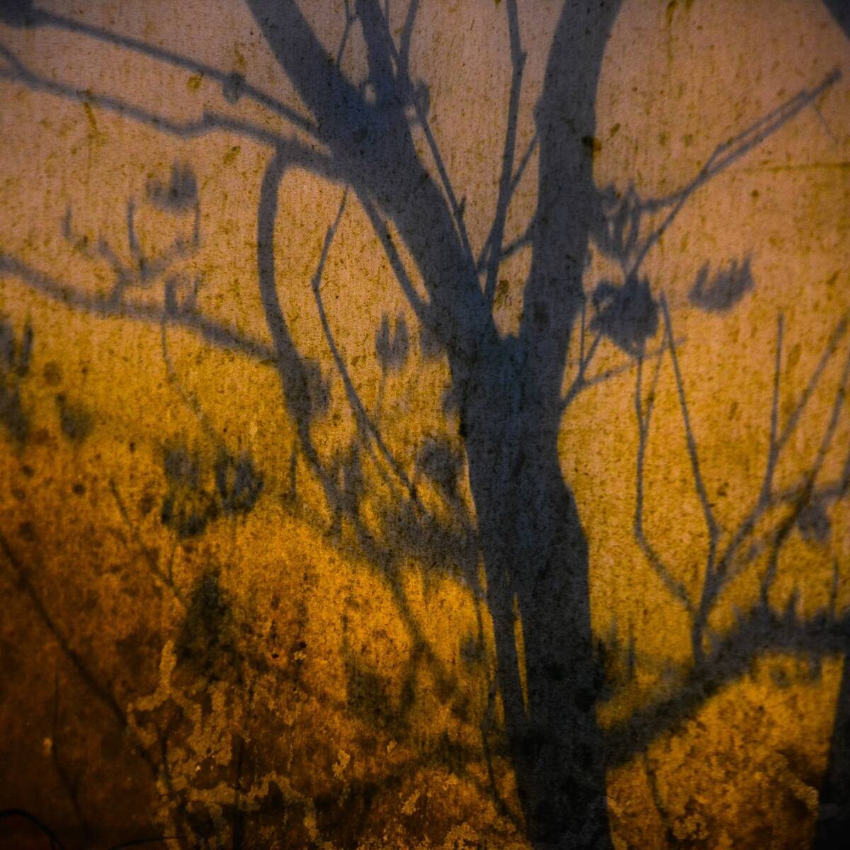 Autumnal Farewells 留秋