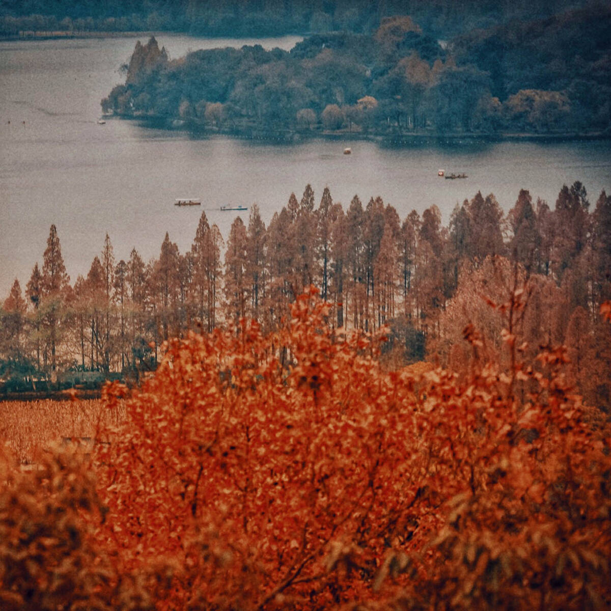 Roaring Flames of Autumn 烈焰 • 集