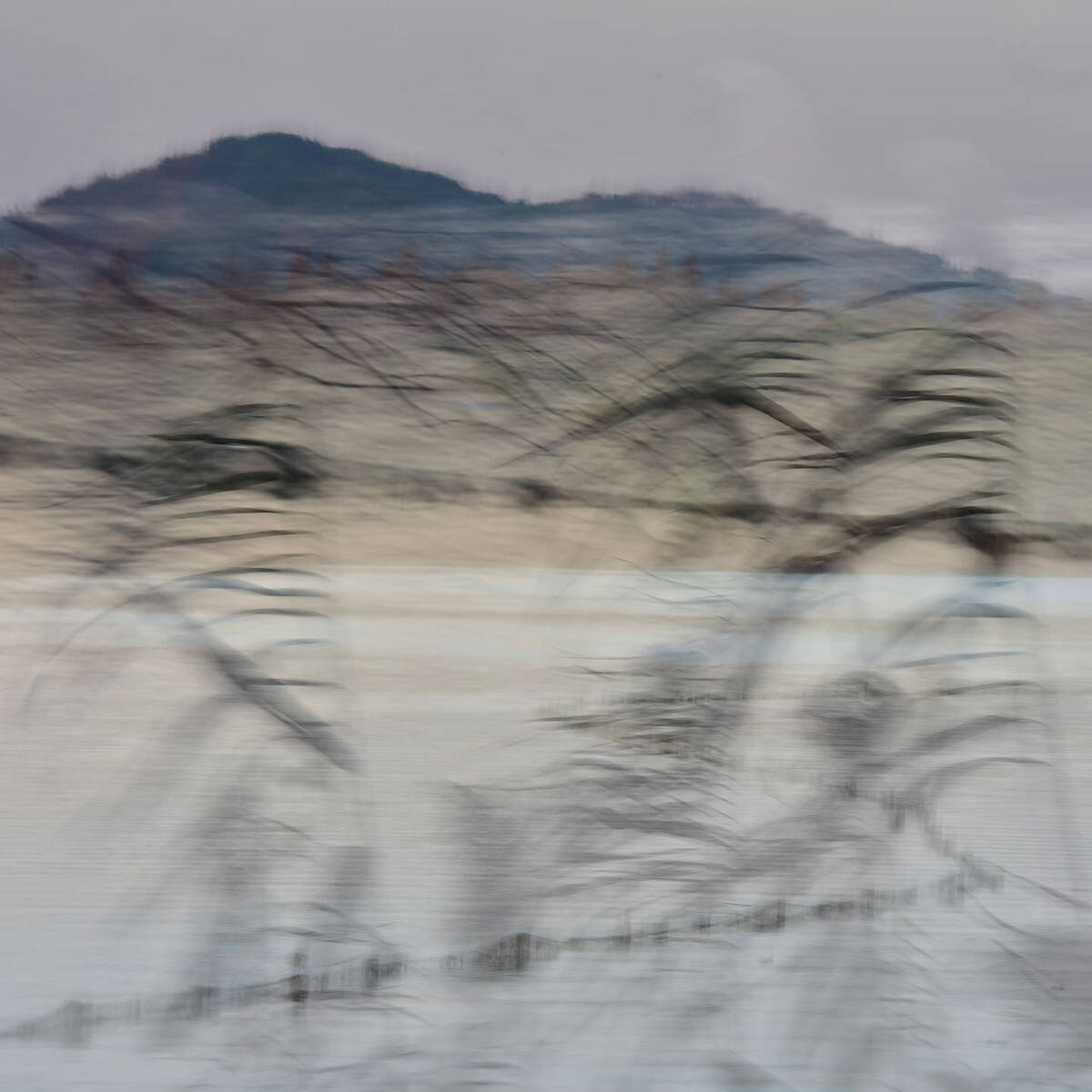 Friscoes of Hills 画山 • 集