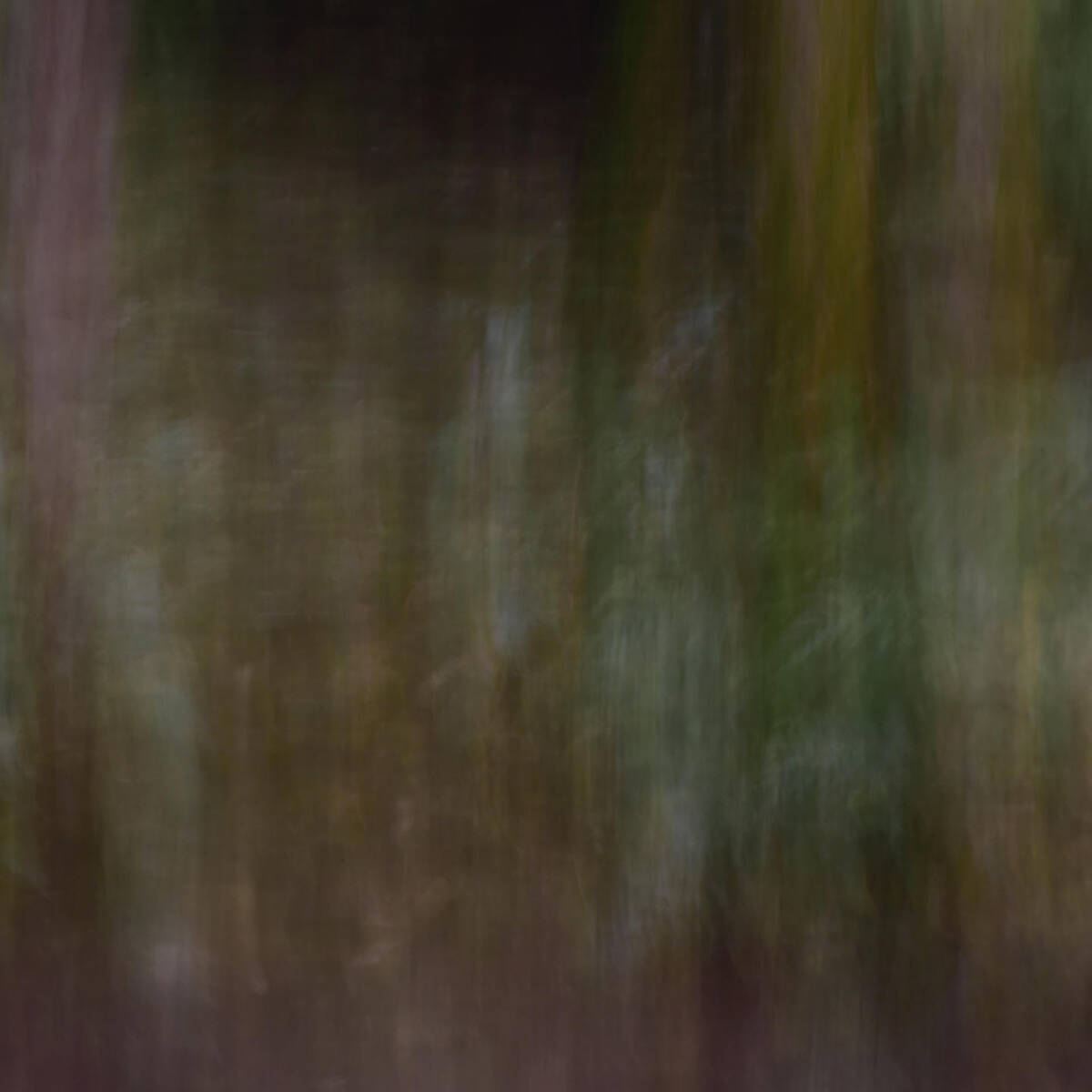 Canvas 画布 • 集
