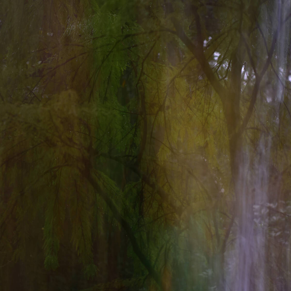 Canvas 画布 • 集
