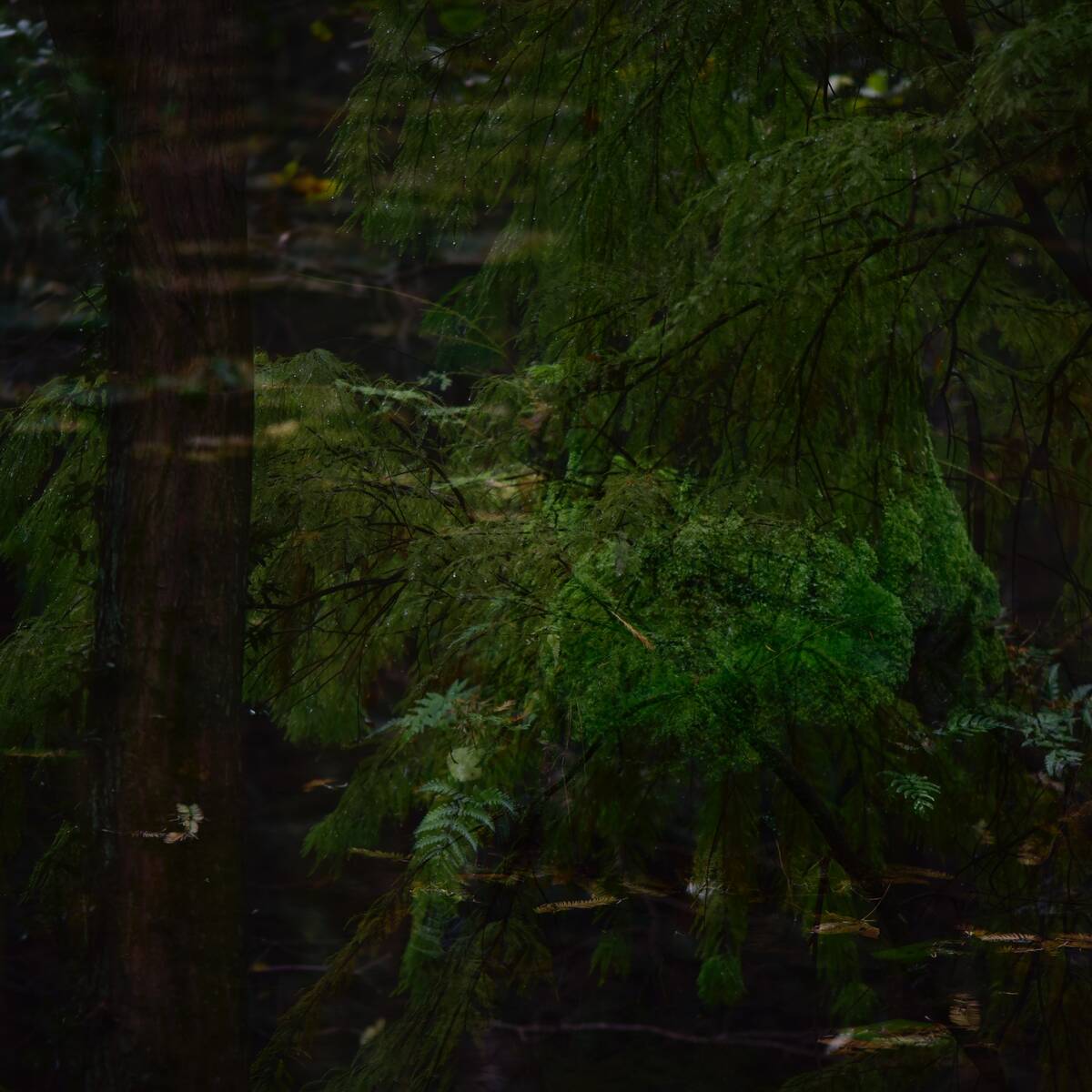 Canvas 画布 • 集