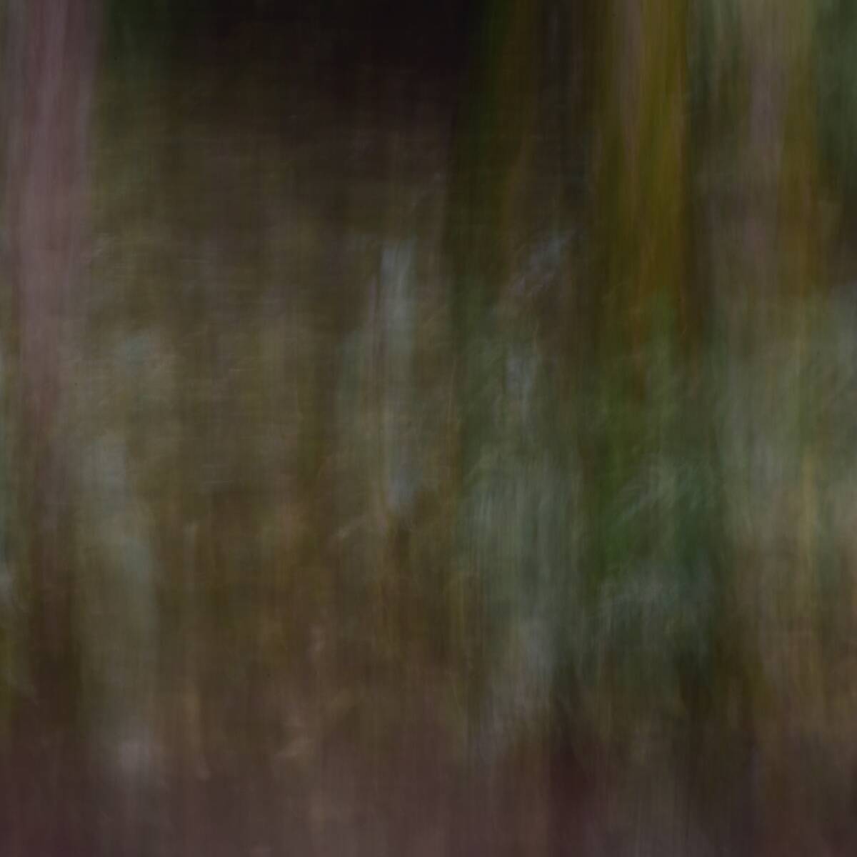 Canvas 画布 • 集