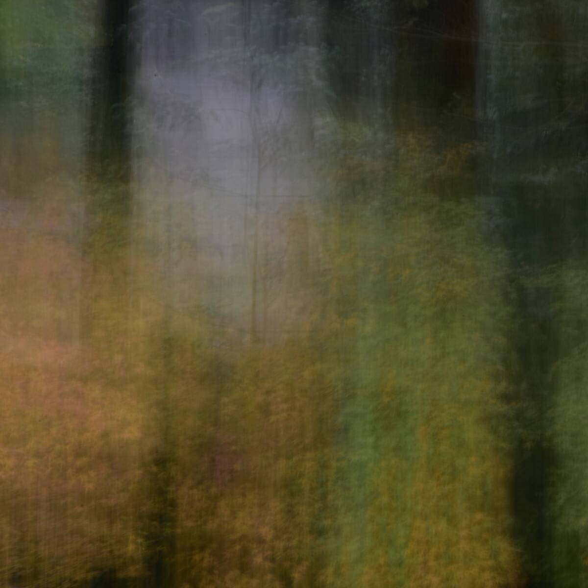 Canvas 画布 • 集