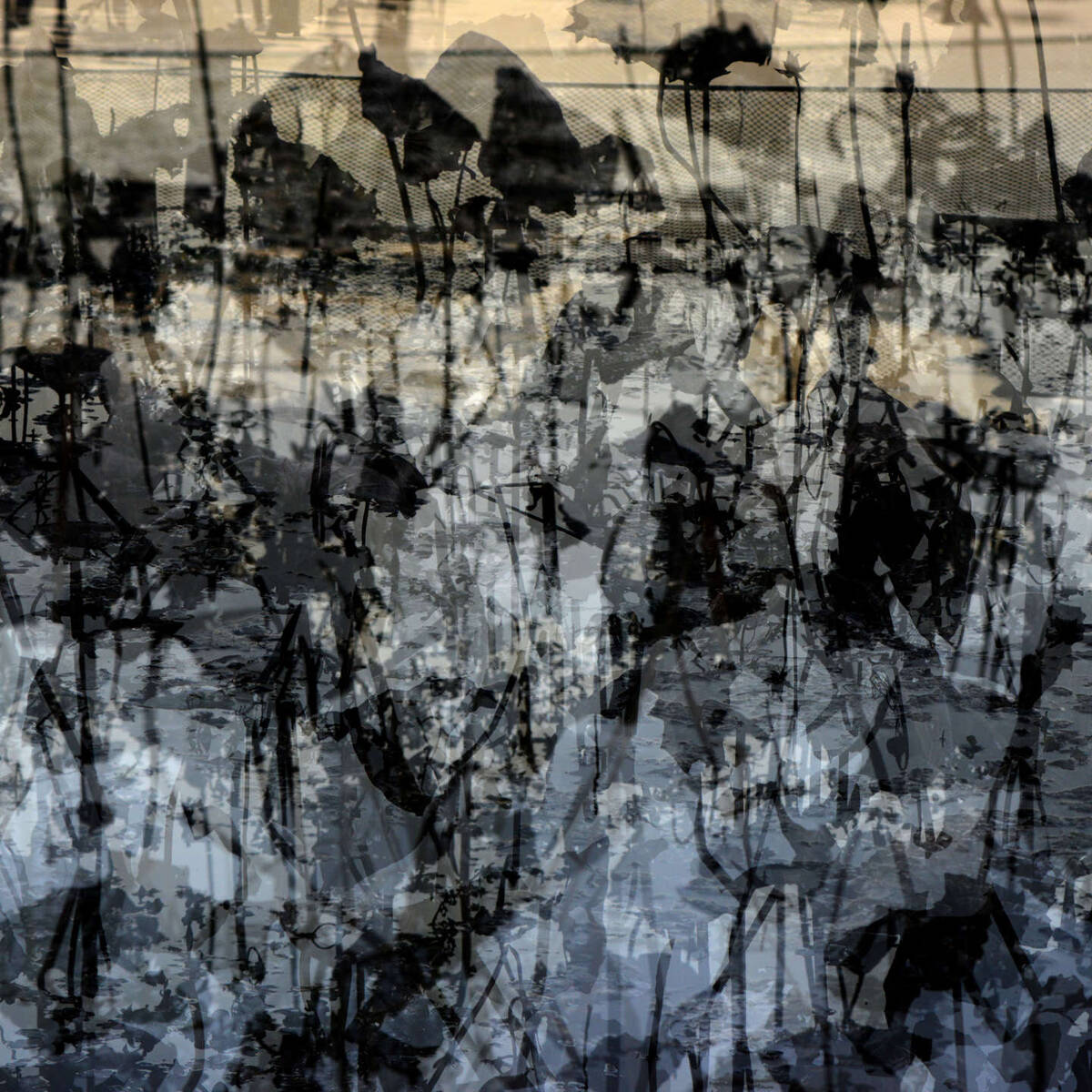 Wetlands Aflare 盘根 • 燎原