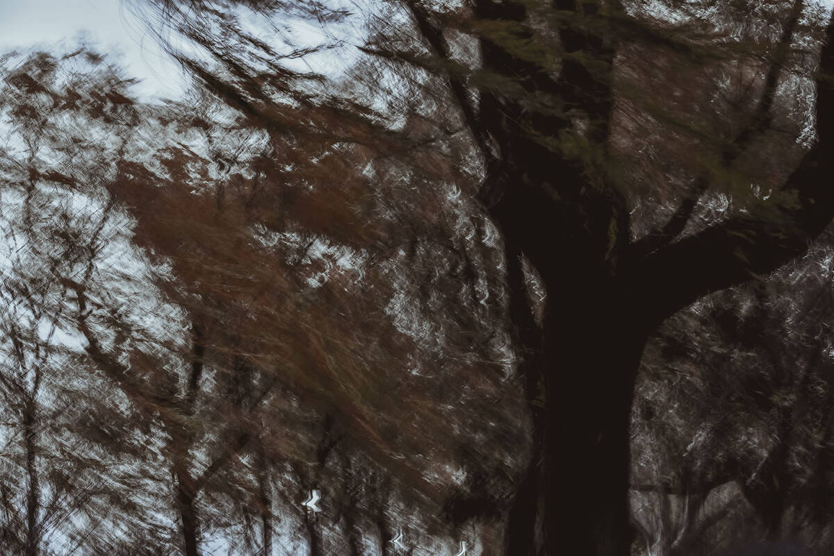 Charcoal Valses 南山路的炭笔画