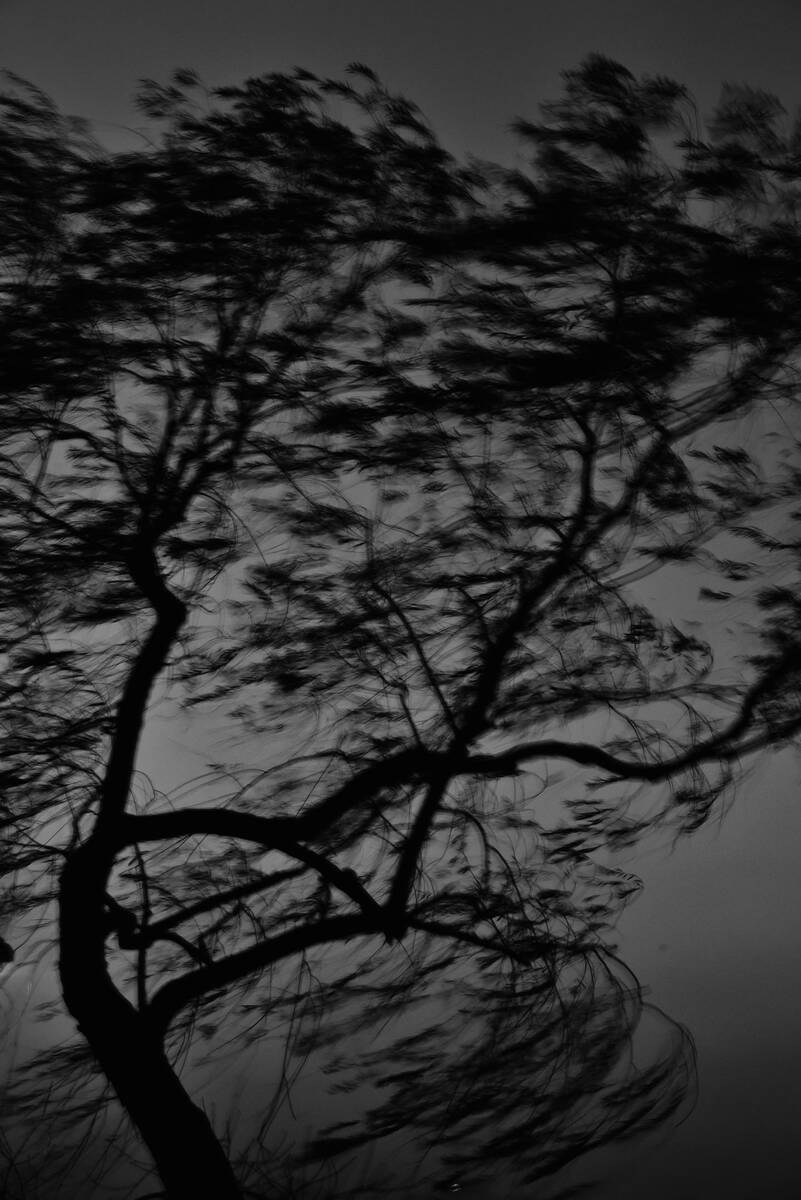 Charcoal Valses 南山路的炭笔画
