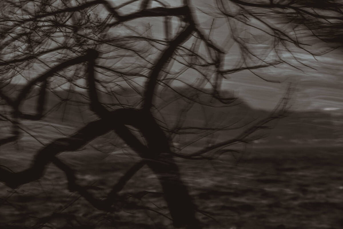 Charcoal Valses 南山路的炭笔画