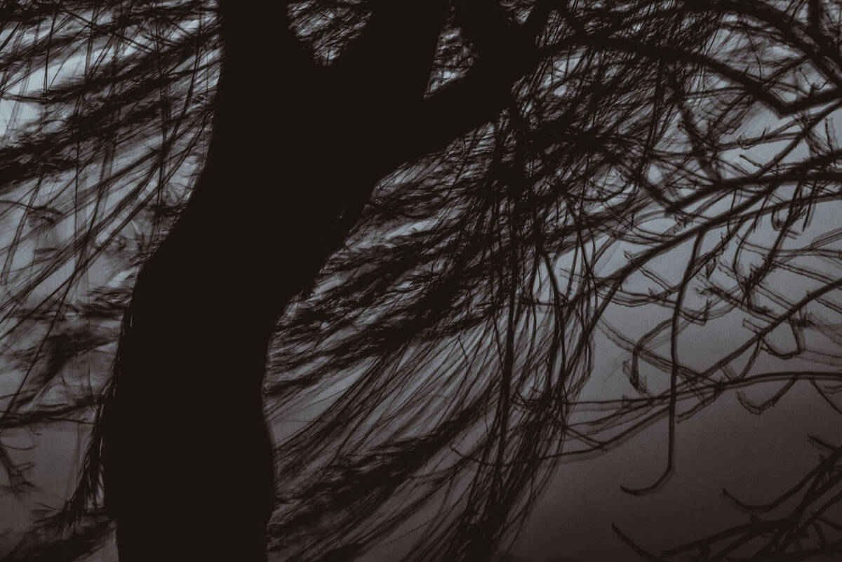 Charcoal Valses 南山路的炭笔画