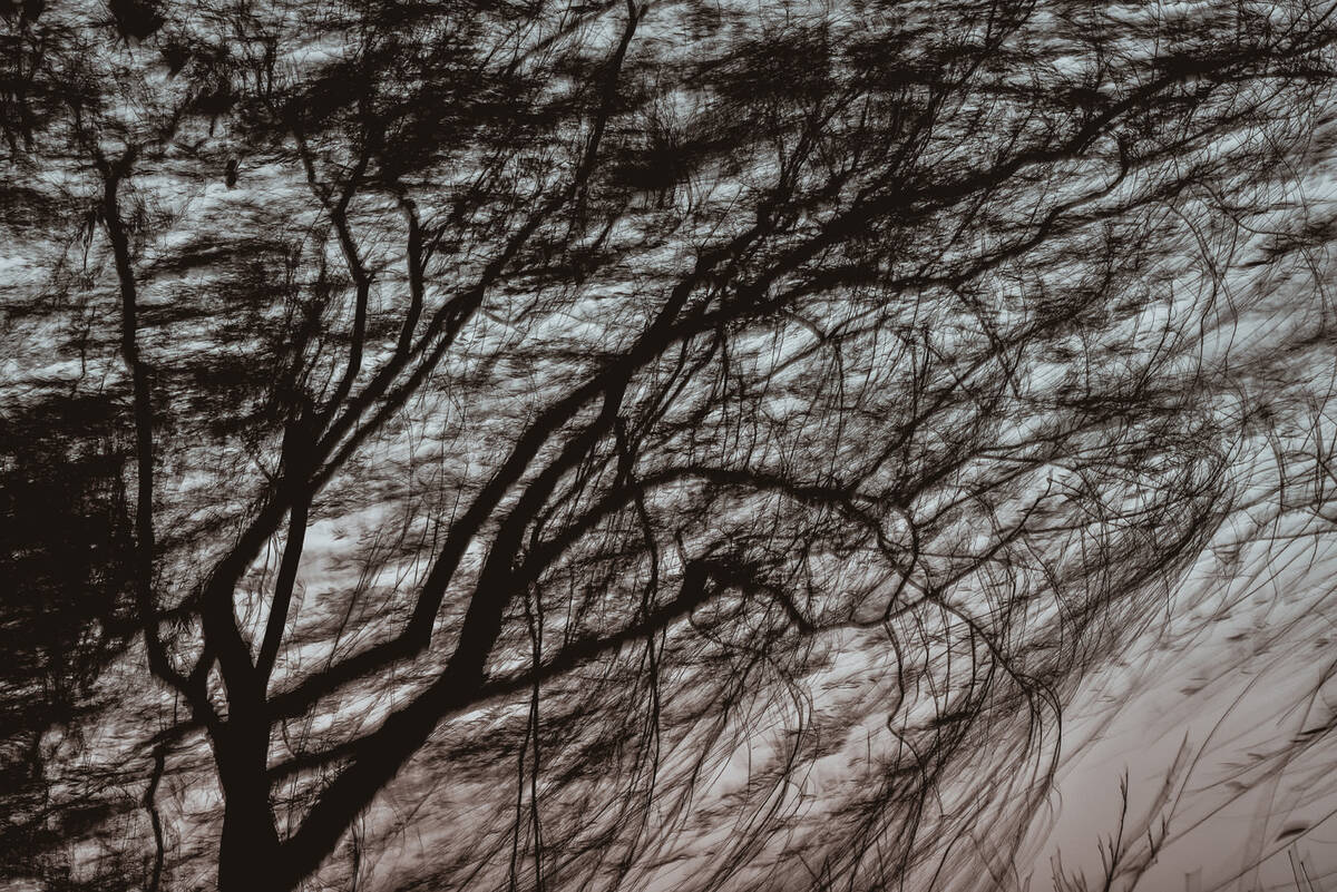 Charcoal Valses 南山路的炭笔画