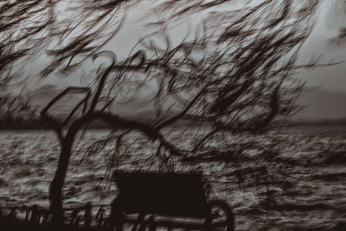 Charcoal Valses 南山路的炭笔画