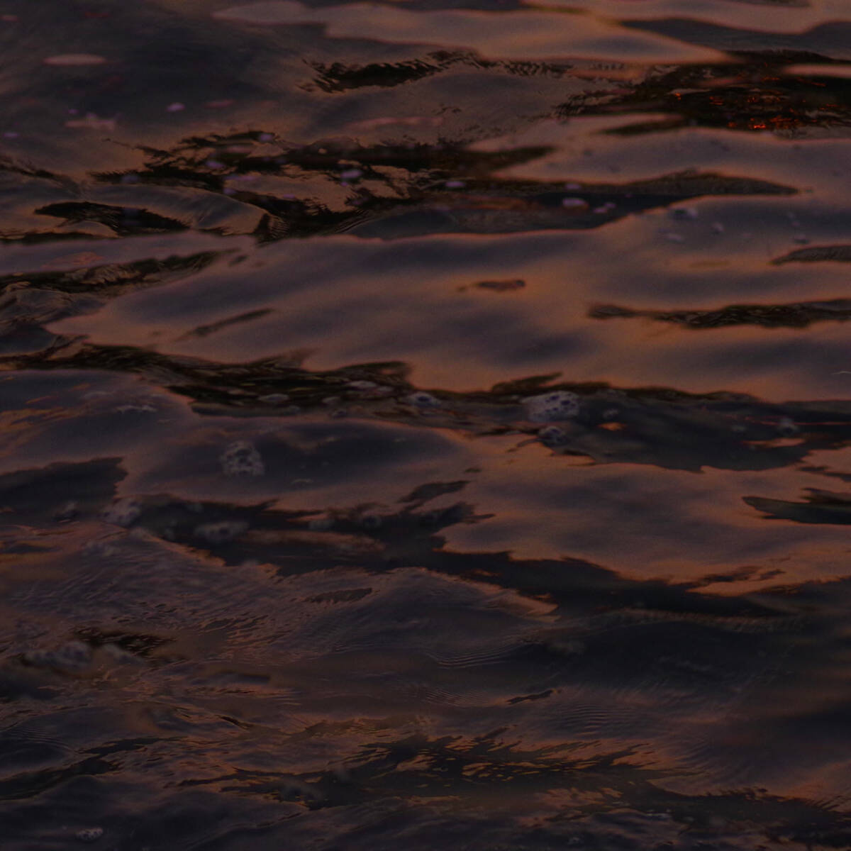 Tip Over or Stay Afloat 亦载 • 亦覆
