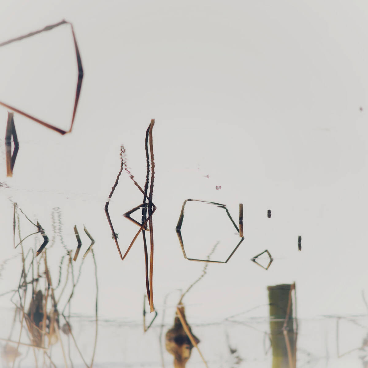Swept by the Harvest 简 • 静待丰饶时