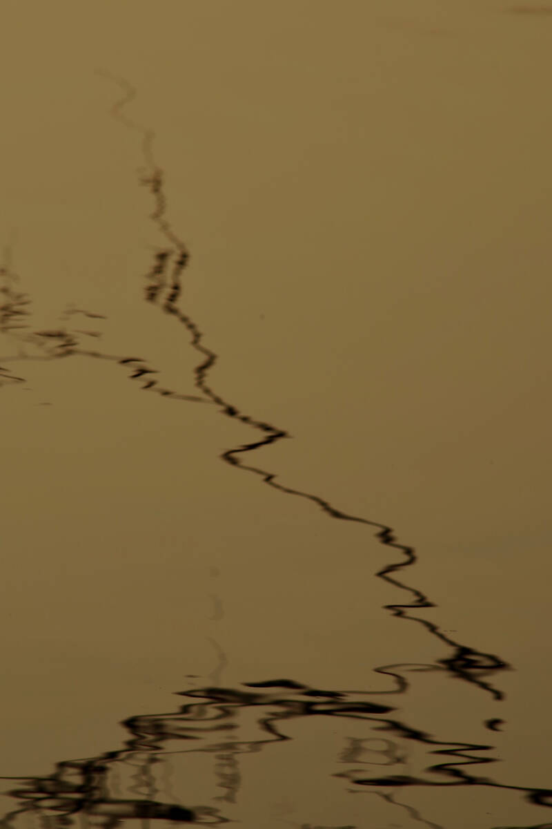 The Road We Walk 我们来时的路