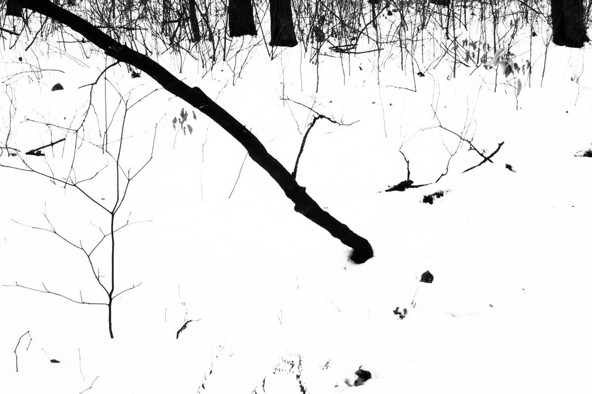 Snowbound