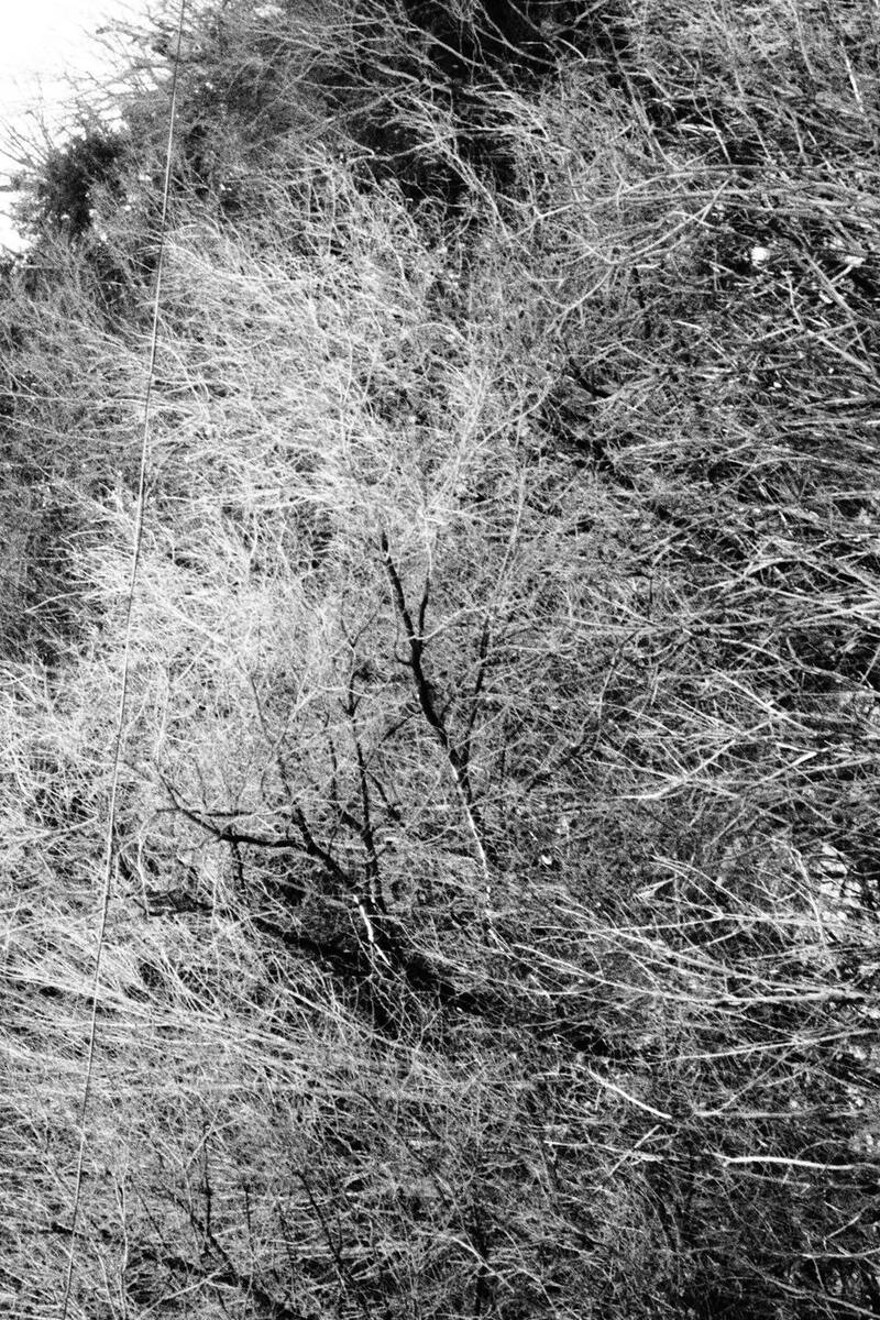 Snowbound