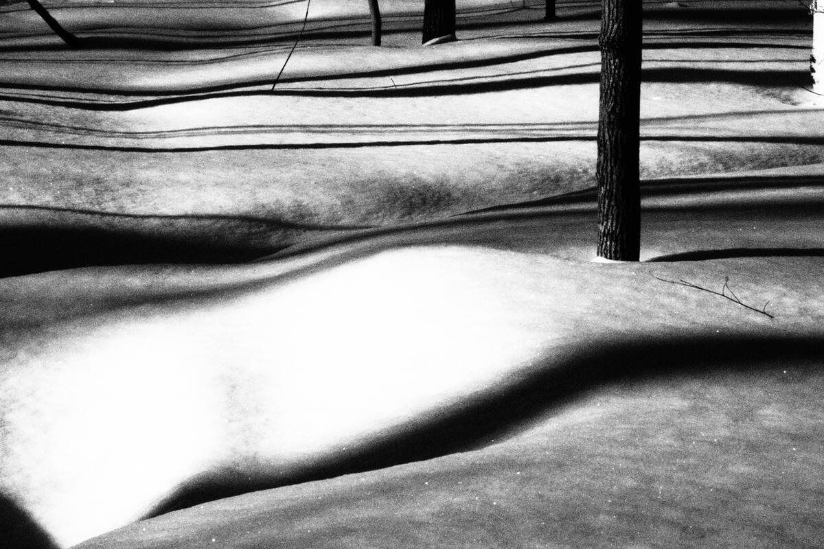 Symphony of Shadows