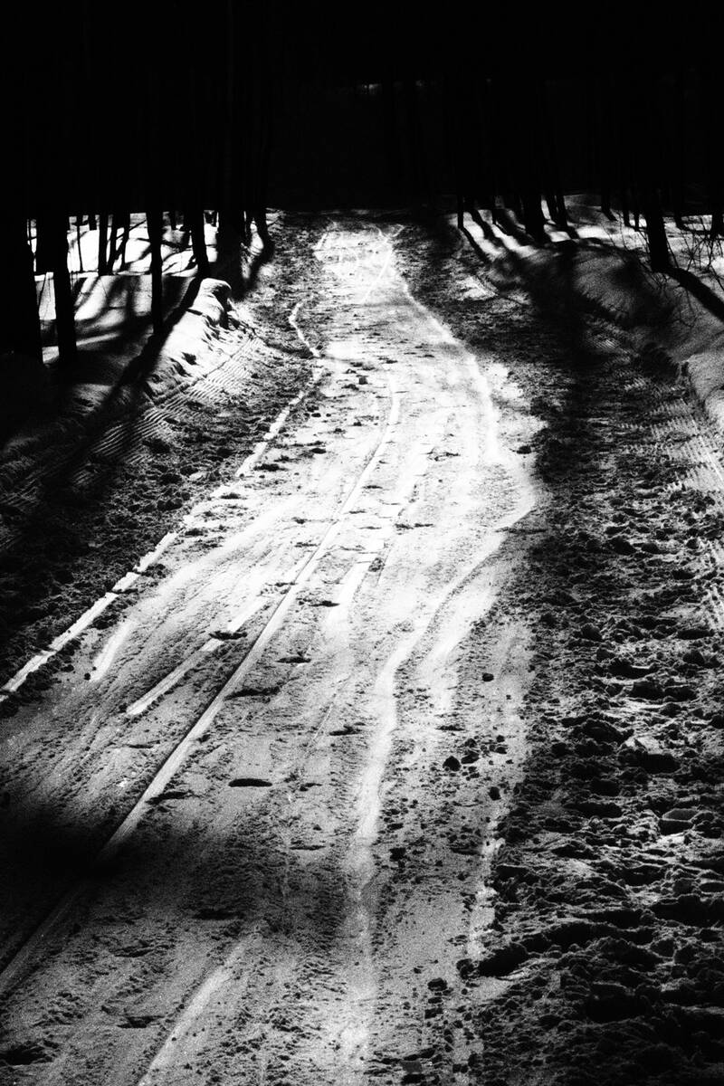 Symphony of Shadows