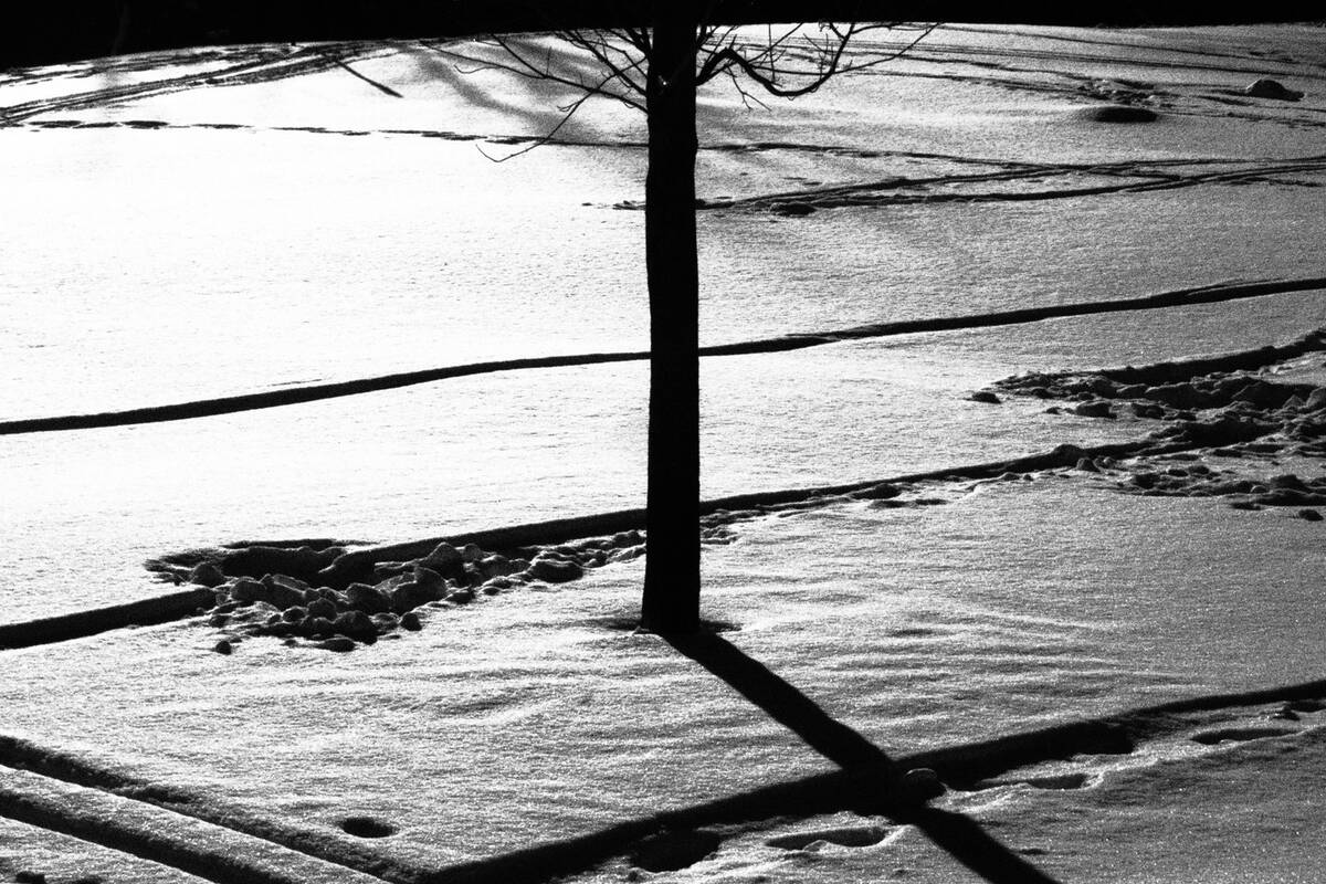 Symphony of Shadows