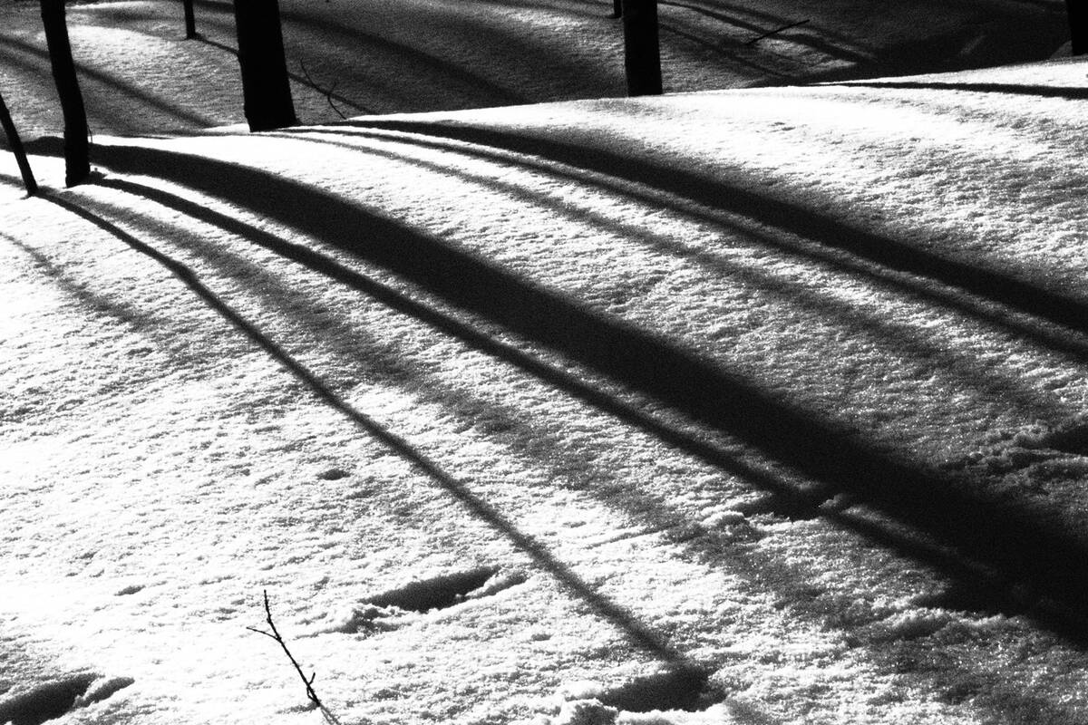 Symphony of Shadows