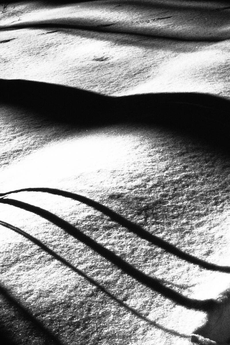 Symphony of Shadows