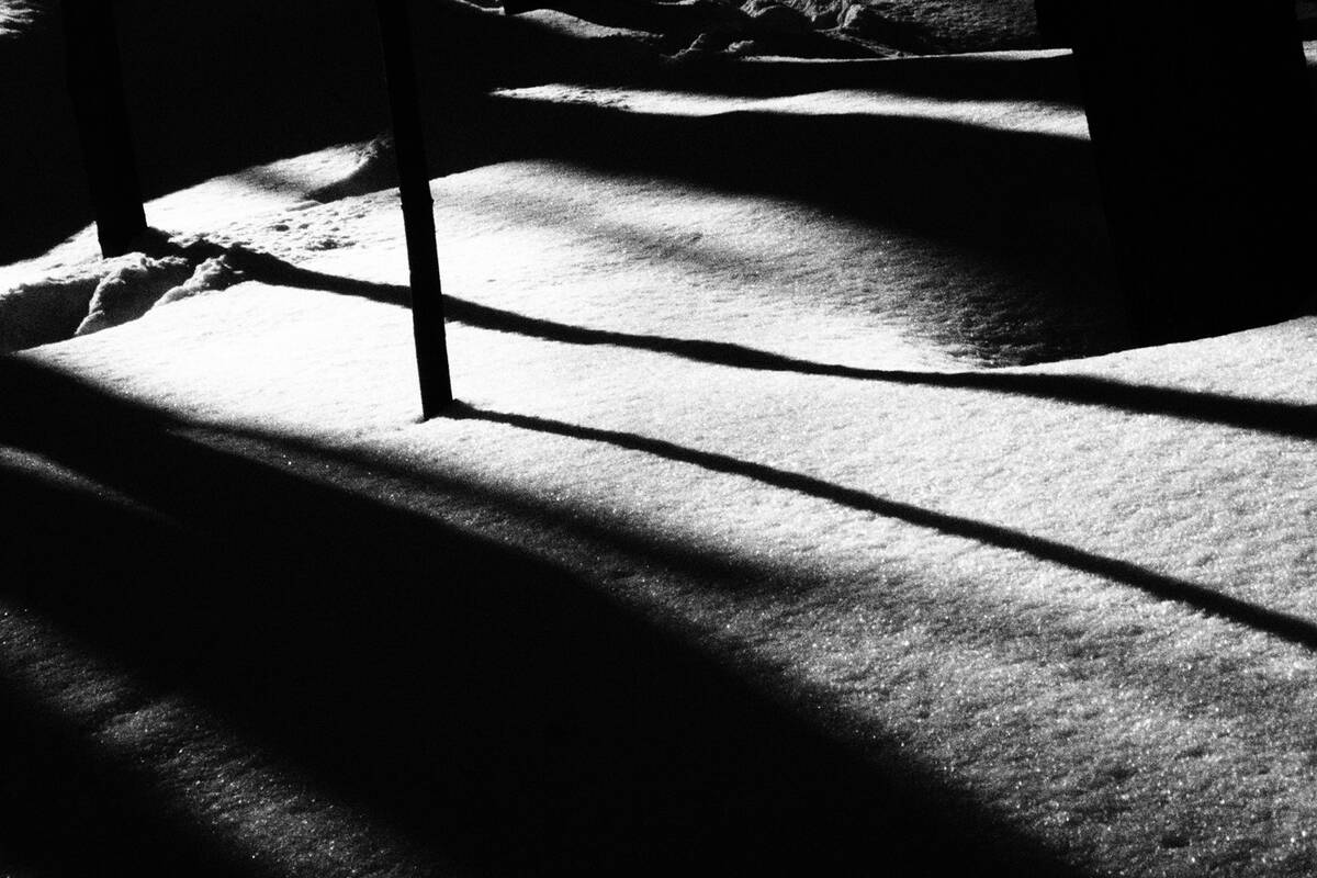 Symphony of Shadows