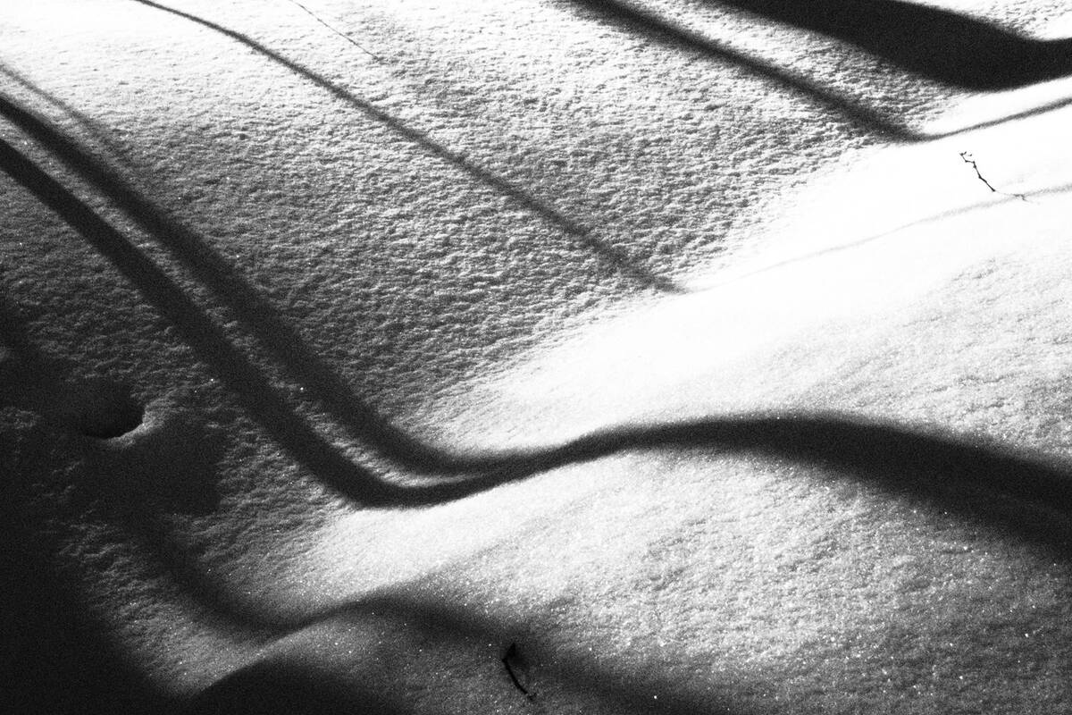 Symphony of Shadows