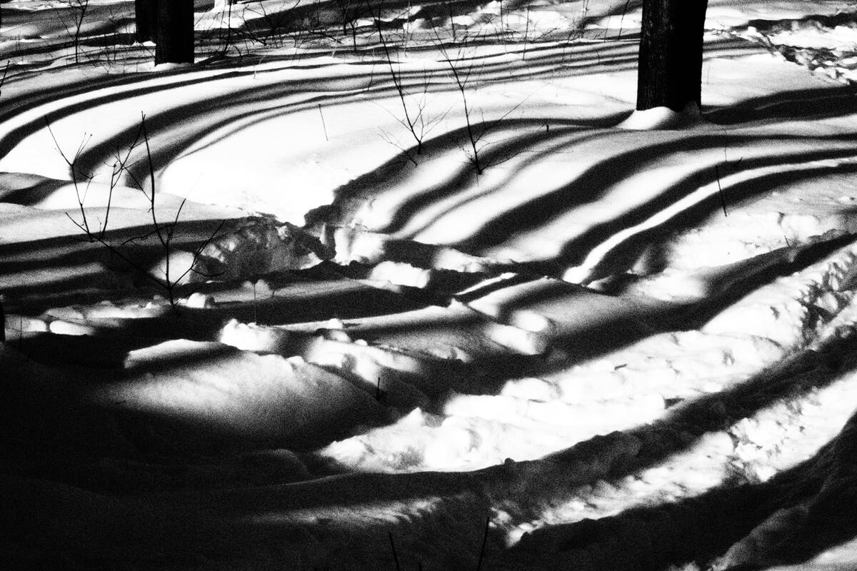 Symphony of Shadows