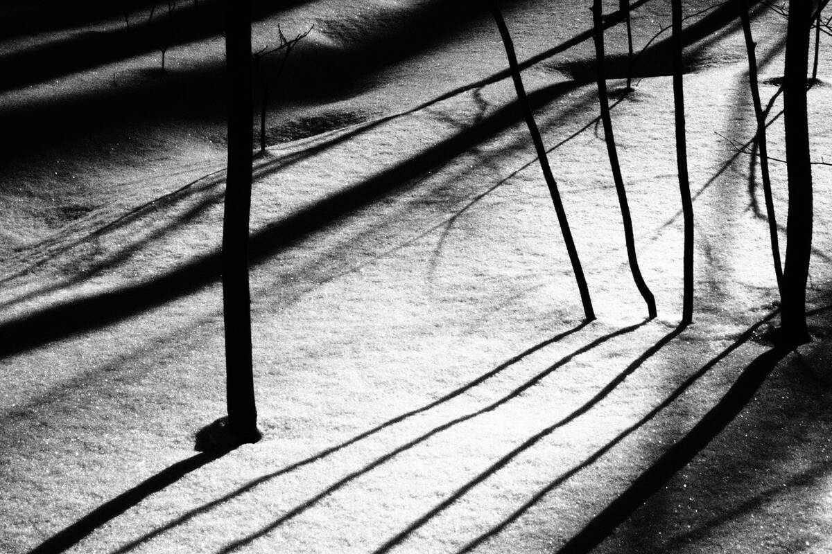 Symphony of Shadows