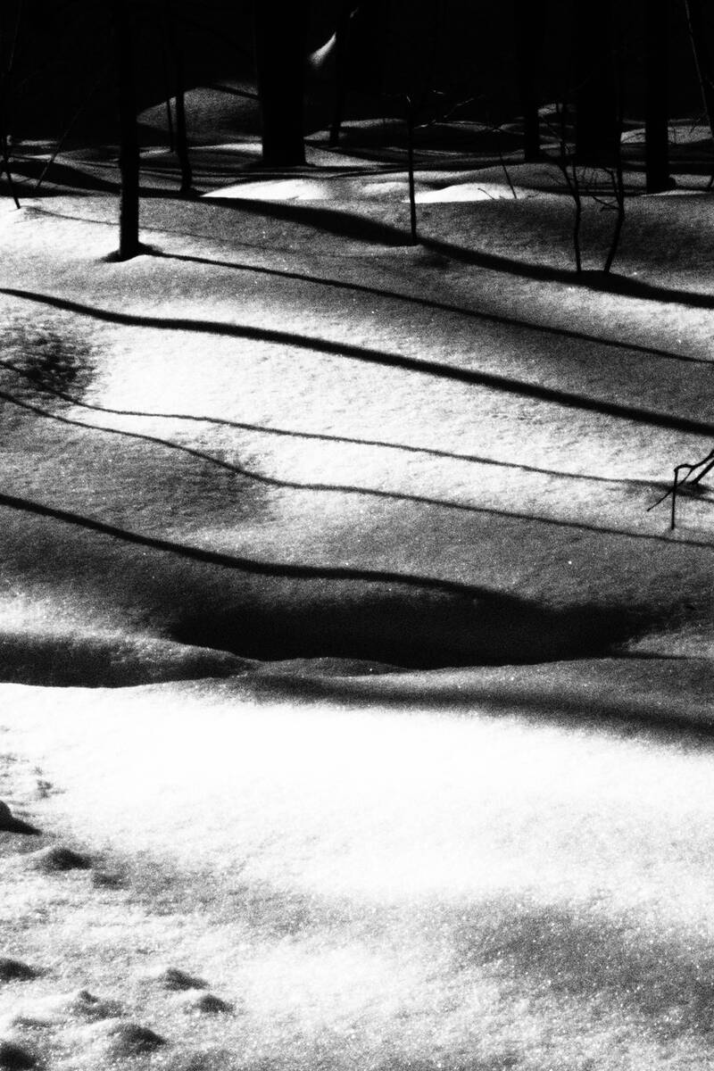 Symphony of Shadows