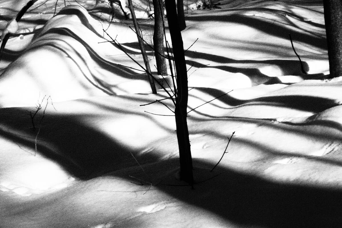 Symphony of Shadows
