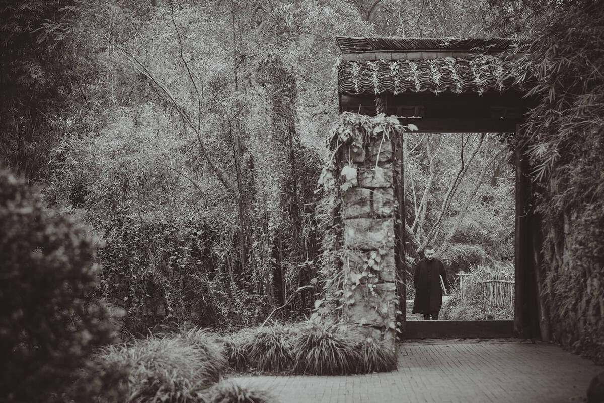 Zhangyong 描绘自然