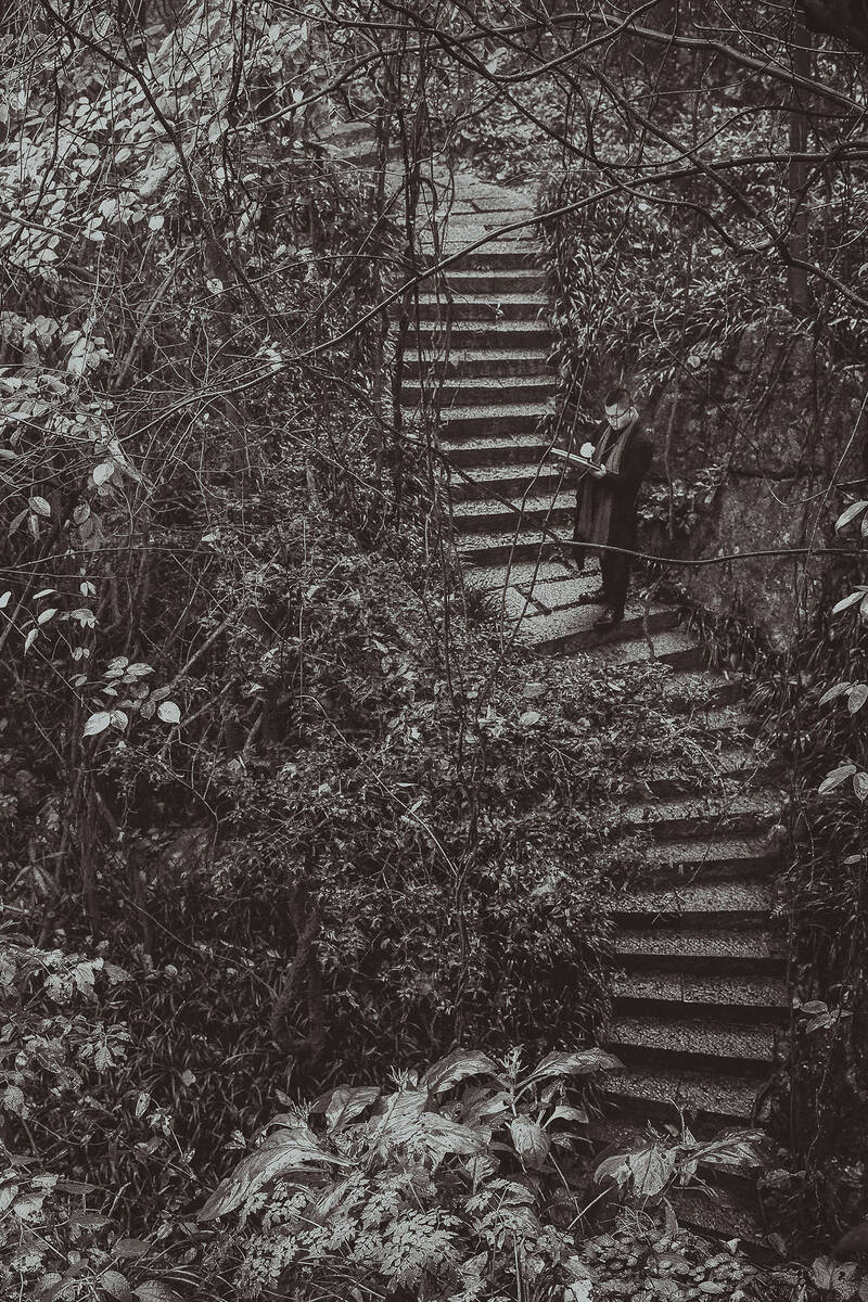 Zhangyong 描绘自然