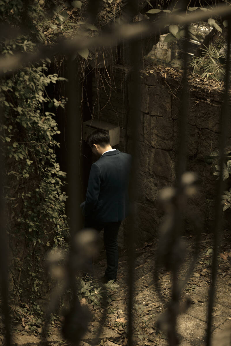 In the Mood for Love