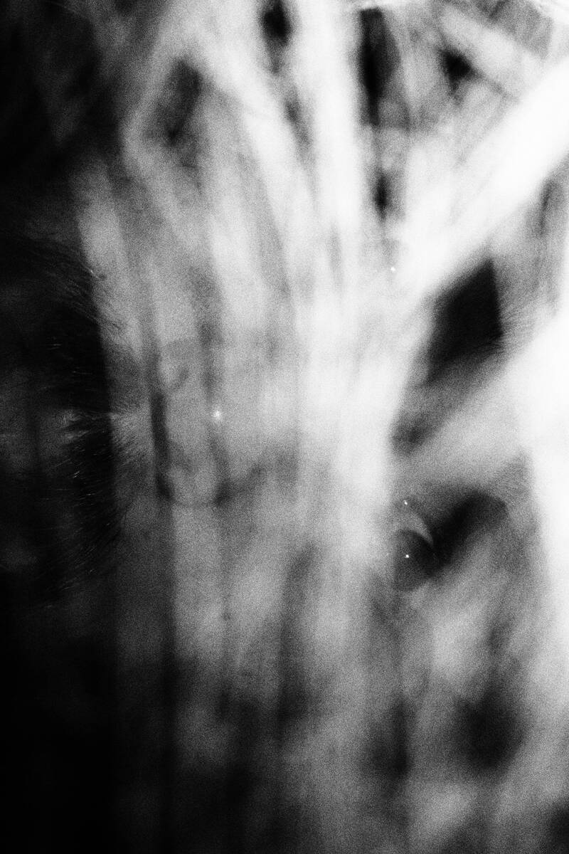 日常