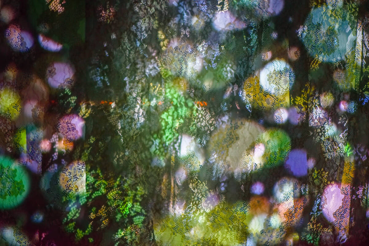 Lace to Meet You