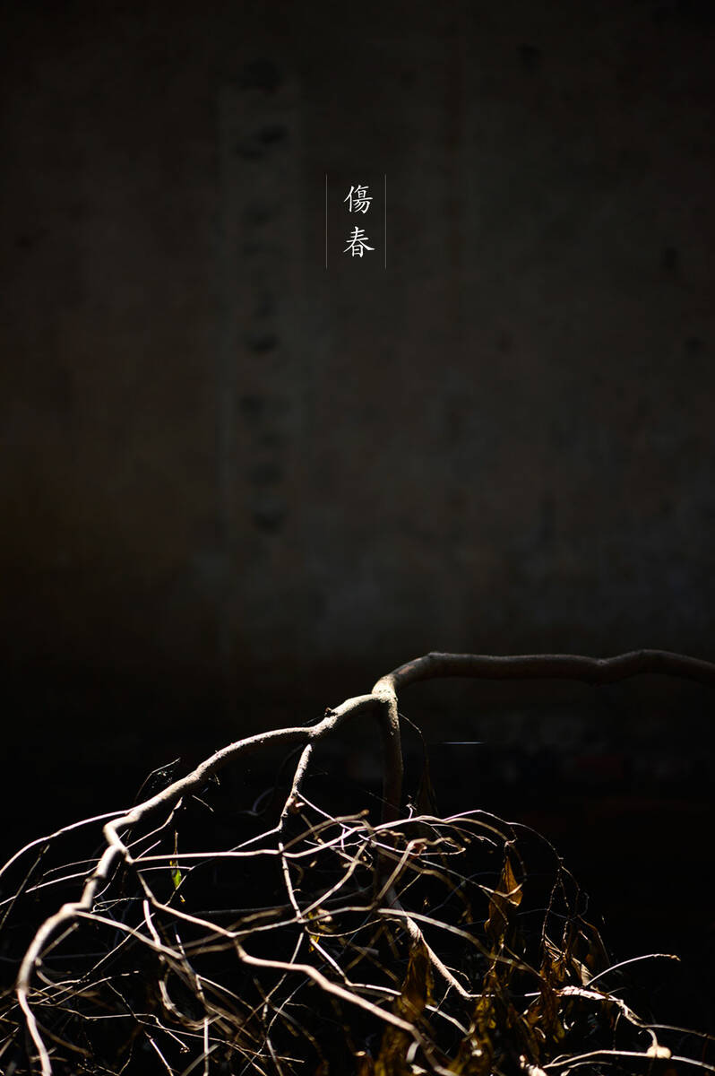 Hanshan in Chengdu 访成都安仁古镇