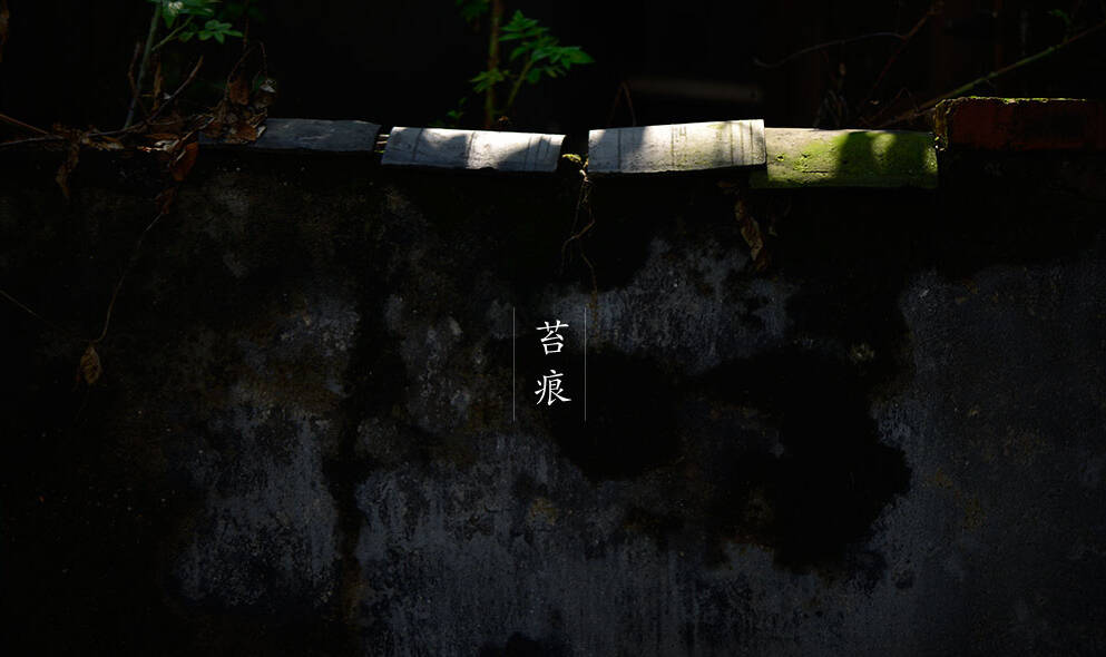 Hanshan in Chengdu 访成都安仁古镇