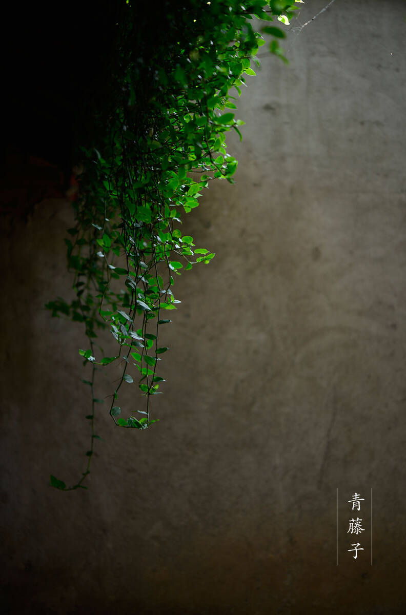 Hanshan in Chengdu 访成都安仁古镇