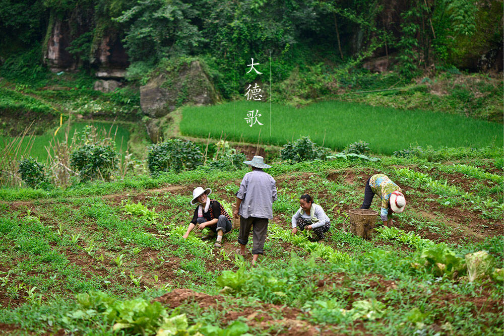 Hanshan in Chengdu 访成都安仁古镇