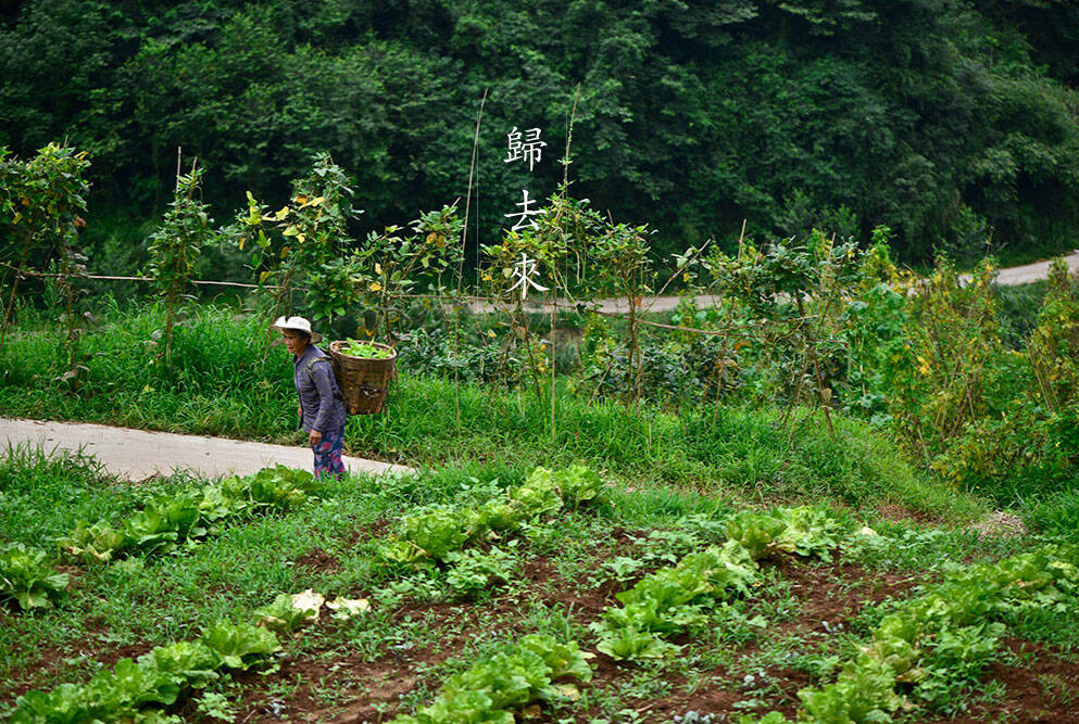 Hanshan in Chengdu 访成都安仁古镇