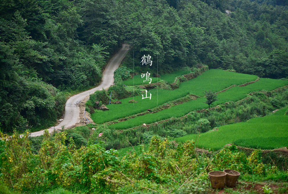 Hanshan in Chengdu 访成都安仁古镇