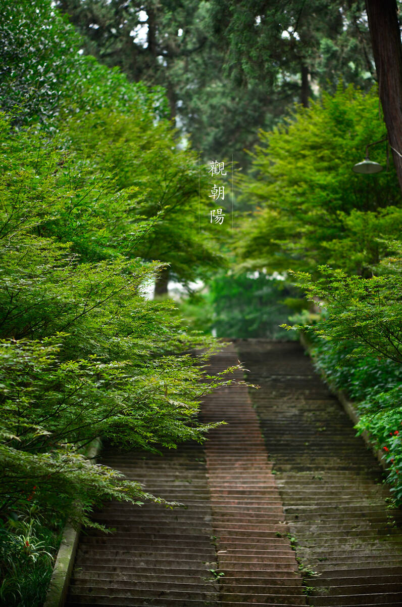 Hanshan in Chengdu 访成都安仁古镇