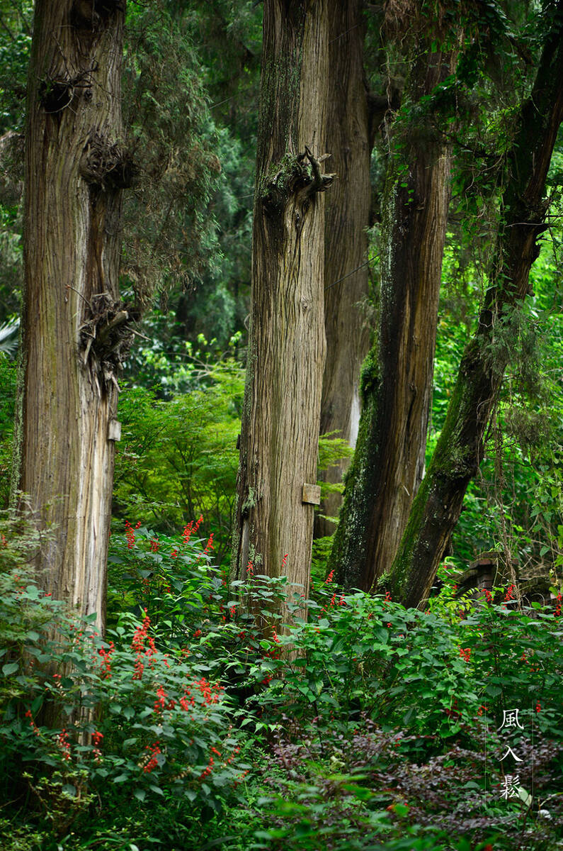 Hanshan in Chengdu 访成都安仁古镇