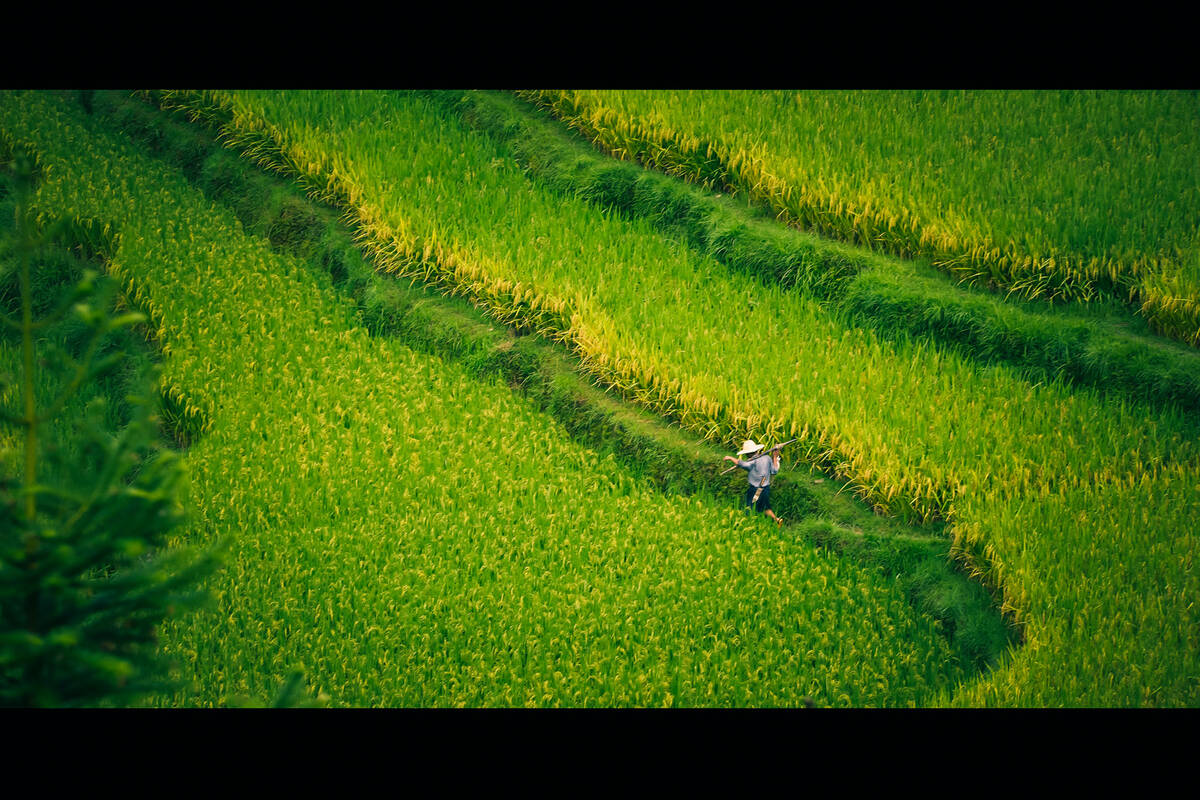 Southeast Guizhou