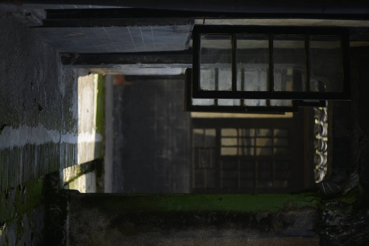 原图